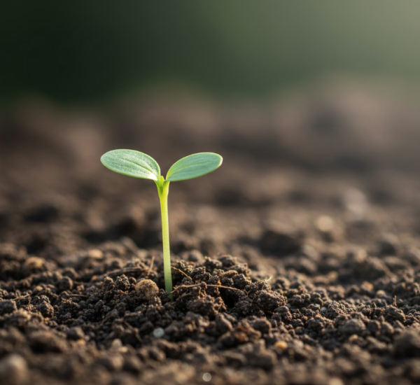 Screenshot 2025-11-12 200359