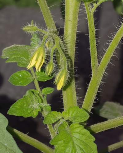 Screenshot 2025-11-12 231911