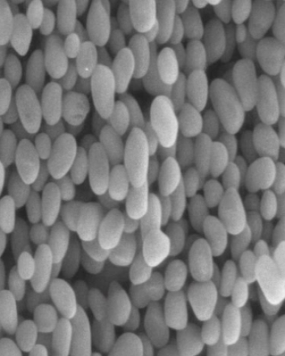 Screenshot 2025-11-12 232308